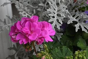 2025-06098862 Pointe Rok Neighborhood, MA